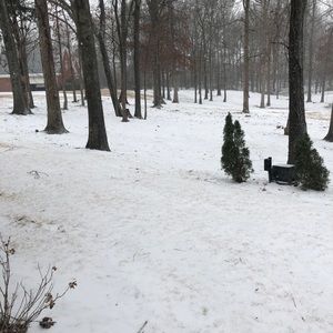 Meet your Posher, Jerome